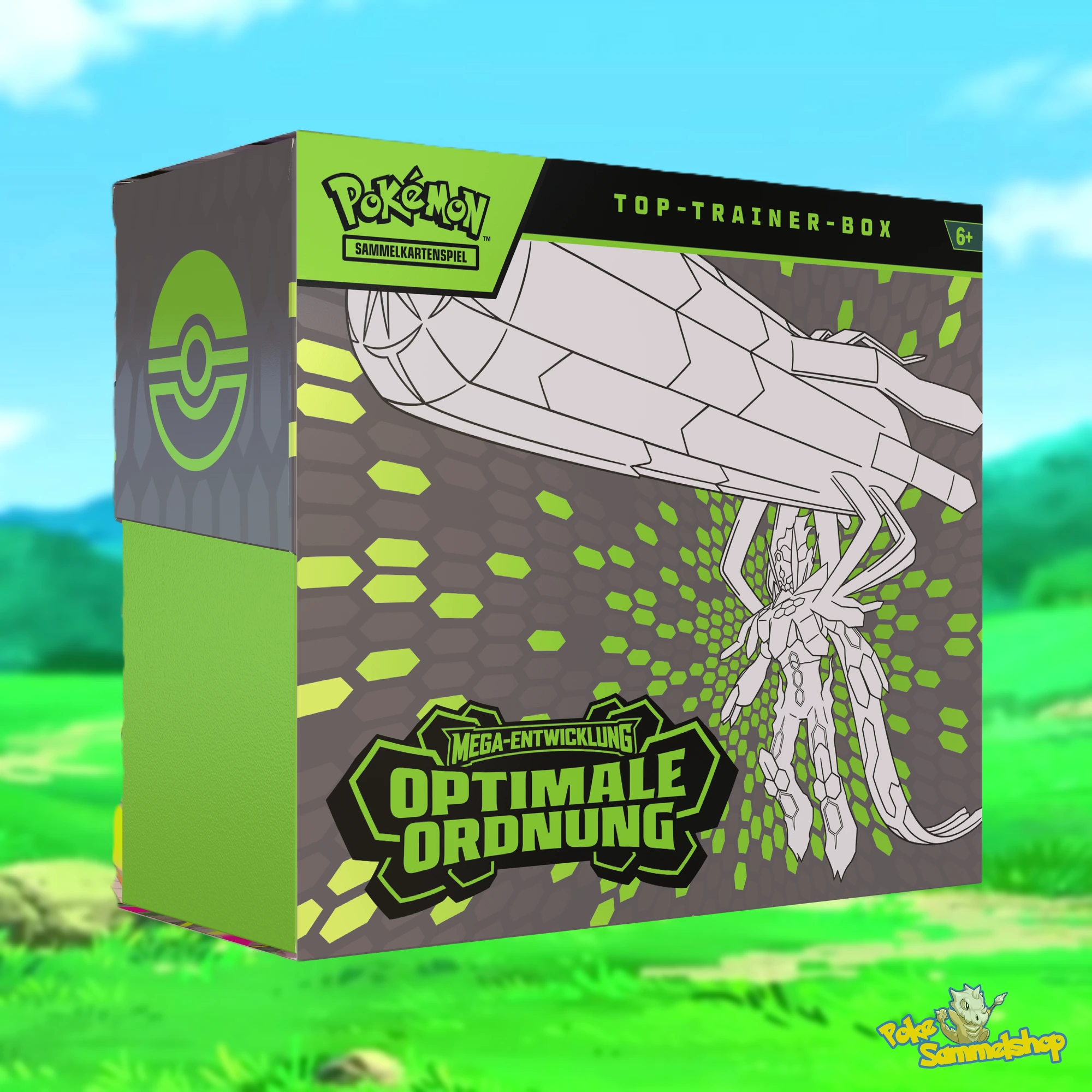 Pokemon Optimale Ordnung Top Trainer Box