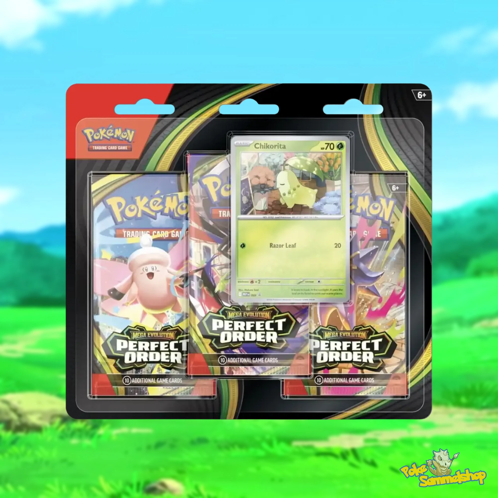 Pokemon Optimale Ordnung Blister Endivie