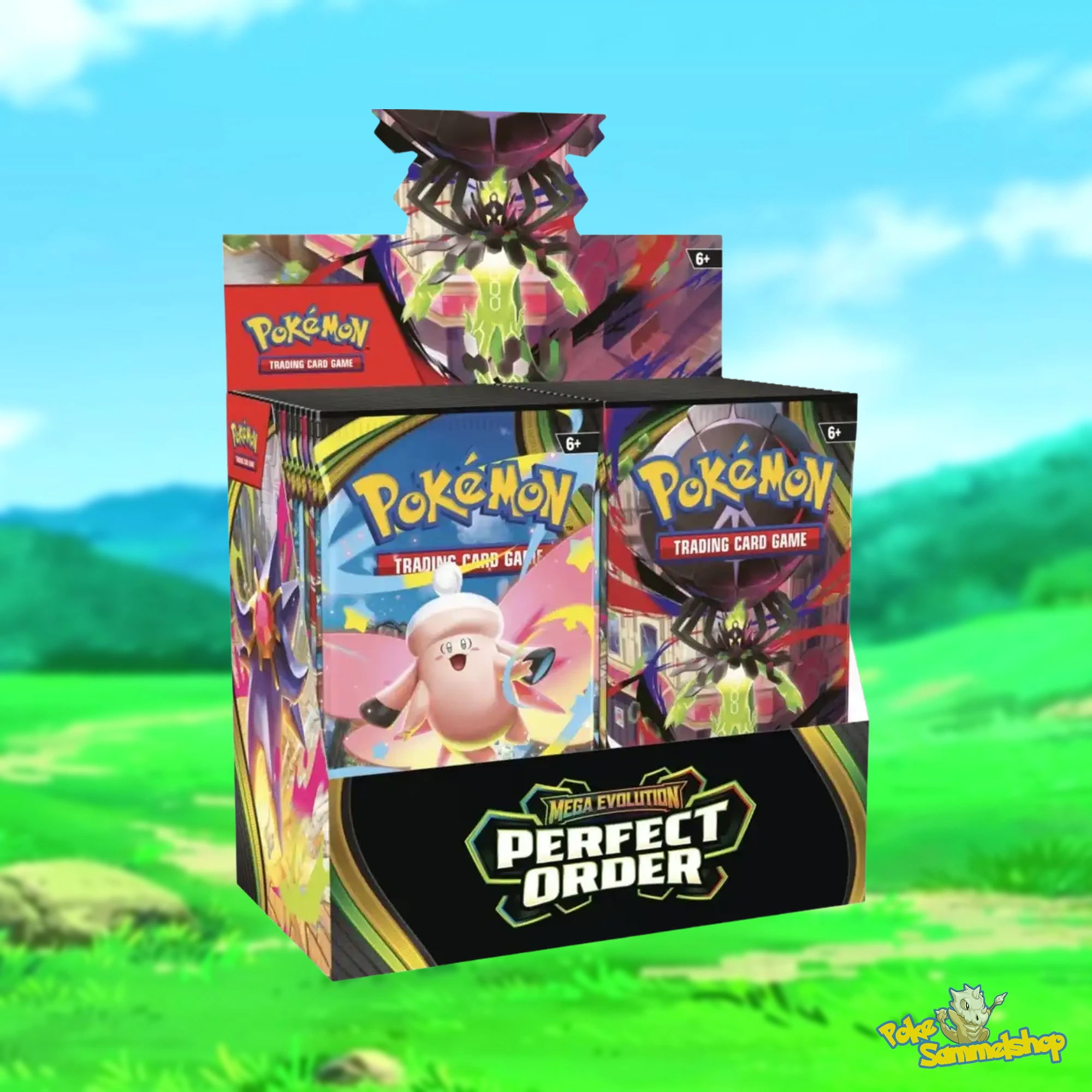 Pokemon Optimale Ordnung Display (36) DE